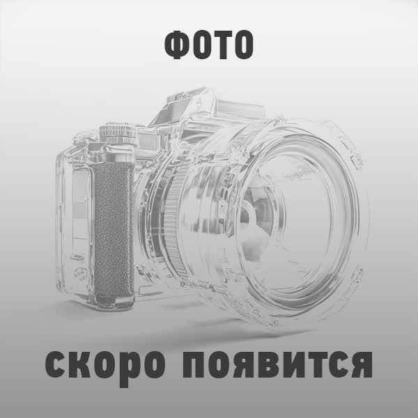 6DS50T-1703028 - Пыльник на КПП